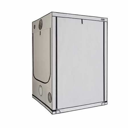 Homebox Ambient Q150+ bei Plantiful